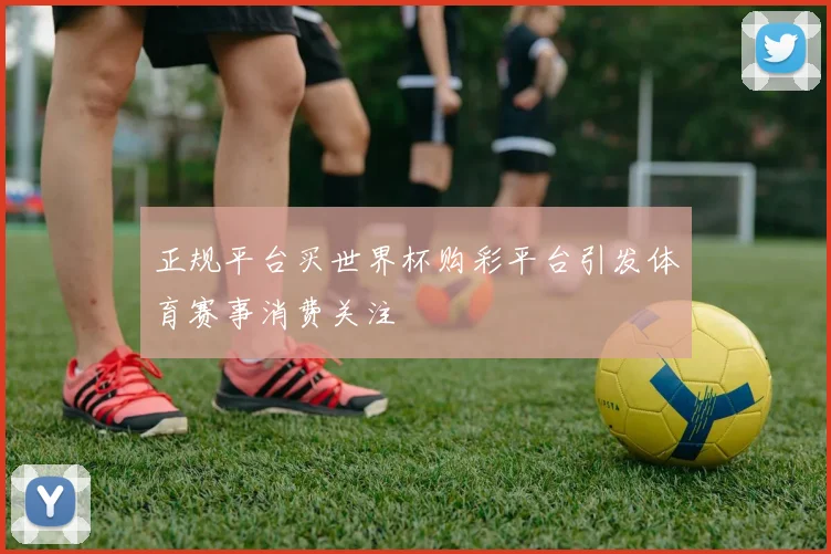 正规平台买世界杯购彩平台引发体育赛事消费关注