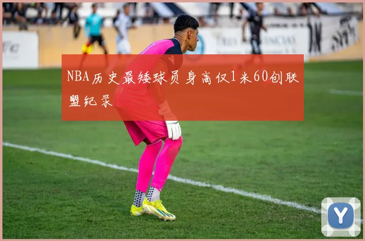 NBA历史最矮球员身高仅1米60创联盟纪录