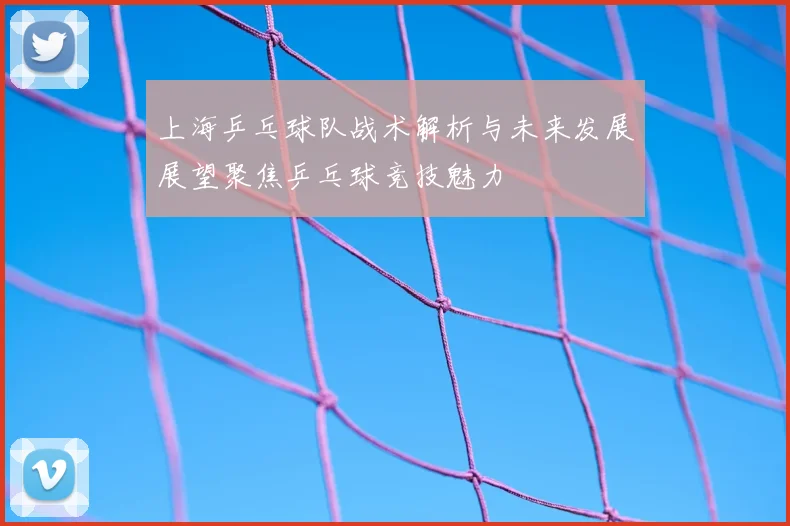 上海乒乓球队战术解析与未来发展展望聚焦乒乓球竞技魅力