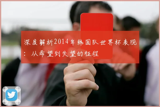 深度解析2014年韩国队世界杯表现:从希望到失望的征程