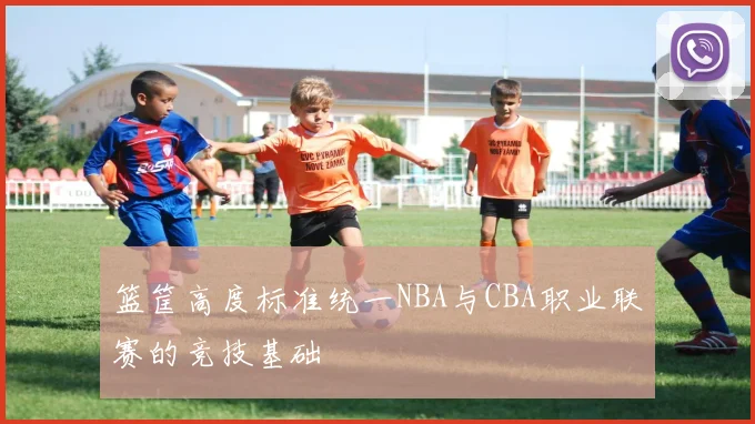 篮筐高度标准统一NBA与CBA职业联赛的竞技基础