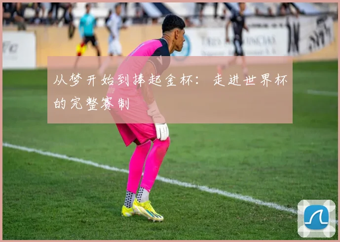 从梦开始到捧起金杯：走进世界杯的完整赛制