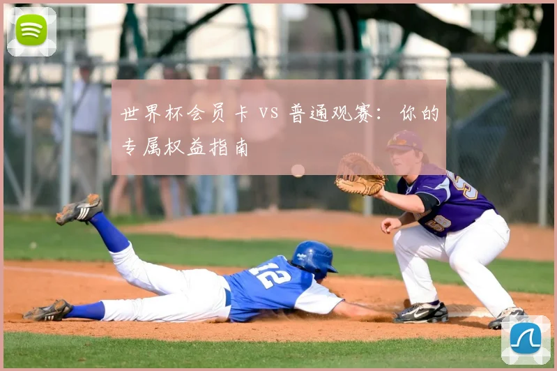 世界杯会员卡 vs 普通观赛：你的专属权益指南